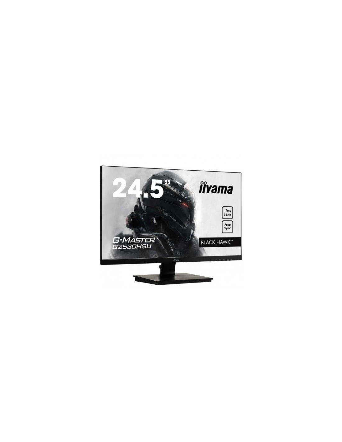 Ecran IIYAMA G-MASTER 24.5" LED FULL HD (G2530HSU-B1) image 0