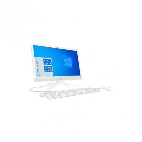 PC DE BUREAU TOUT-EN-UN HP 21-B0003NK - DUAL CORE - 4 GO (2R0B4EA)