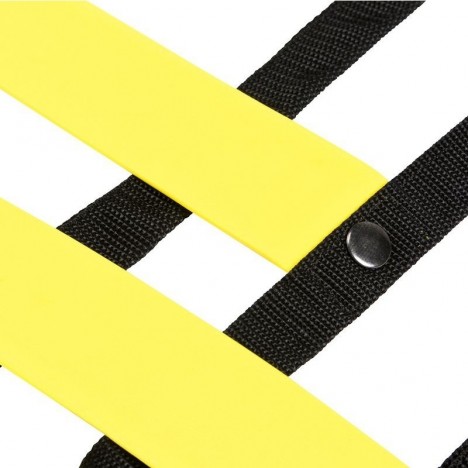 Échelle d'entrainement 5M - ZIMOTA (03084005)