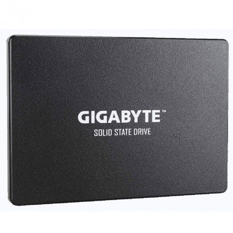 Disque Dur Interne GIGABYTE 256Go SSD 2.5" (GP-GSTFS31256GTND) Disque Dur Interne GIGABYTE 256Go SSD 2.5" (GP-GSTFS31256GTND)