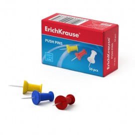 Punaises ErichKrause® colorées (24877)