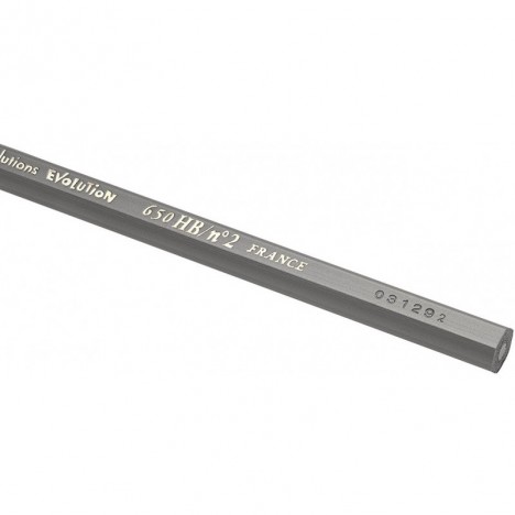 12 Crayons Graphite HB BIC Evolution Ecolutions / Noir-(3086123278011) 12 Crayons Graphite HB BIC Evolution Ecolutions / Noir-(3086123278011)