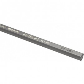 12 Crayons Graphite HB BIC Evolution Ecolutions / Noir-(3086123278011) 12 Crayons Graphite HB BIC Evolution Ecolutions / Noir-(3086123278011)