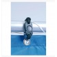 Cage de Football Goal Classic GARLANDO 1.8 M X1.2 M (POR-11) Cage de Football Goal Classic GARLANDO 1.8 M X1.2 M (POR-11)