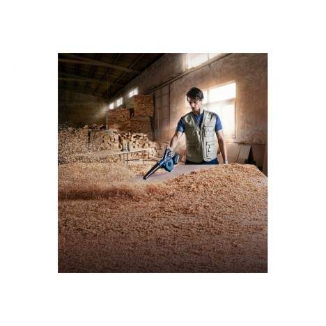 Souffleur BOSCH GBL 620 prix Souffleur BOSCH GBL 620 prix