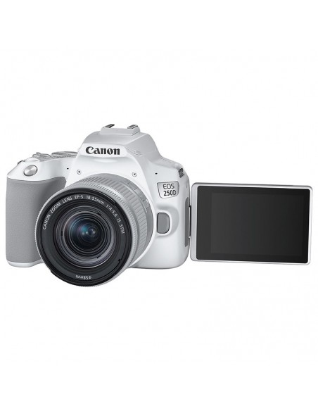 Appareil photo Reflex Canon EOS 250D 4K prix