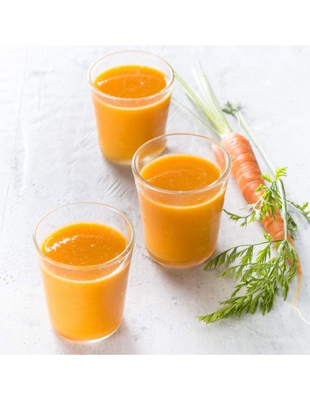 Extracteur de Jus MOULINEX 150 Watt - 0.8 Litres - Gris (ZU420E10) Extracteur de Jus MOULINEX 150 Watt - 0.8 Litres - Gris (ZU420E10)