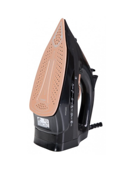 Fer à Vapeur GOLDMASTER 2200 W - Noir (GM-7613G)