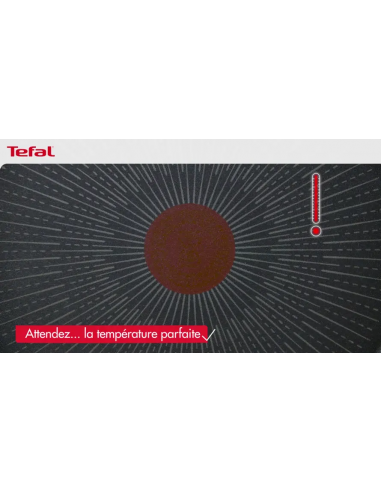 Faitout TEFAL Generous Cook 24 CM + Couvercle - Induction Antiadhesif (C2784683)