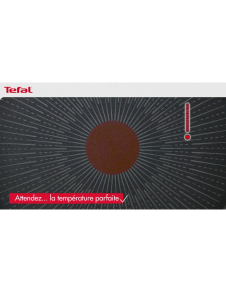 Faitout TEFAL Generous Cook 24 CM + Couvercle - Induction Antiadhesif (C2784683)