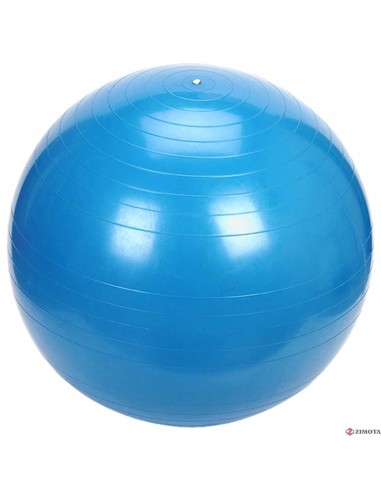 Gym Ball ZIMOTA 75 CM - Bleu (01042075)