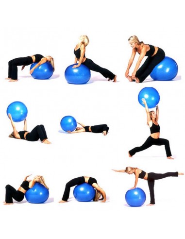 Gym Ball ZIMOTA 75 CM - Bleu (01042075) Gym Ball ZIMOTA 75 CM - Bleu (01042075)
