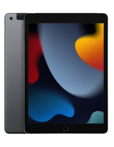 APPLE iPad 10.2 (9ème génération) - 64Go - 4G