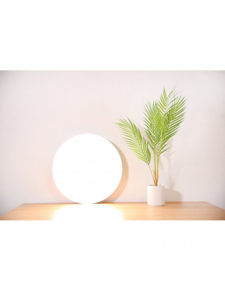 XIAOMI Mi Smart LED Ceiling Light