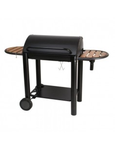Barbecue à Charbon SOMAGIC...