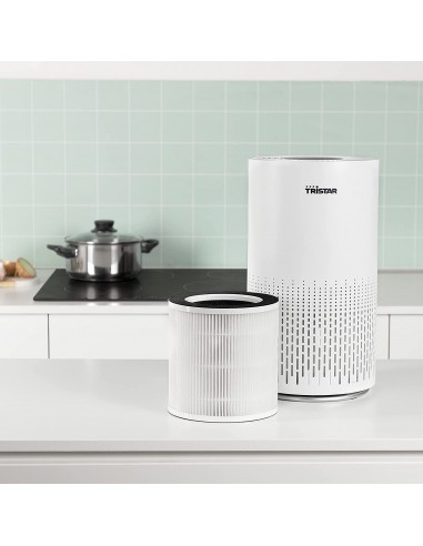 Filtre de Remplacement TRISTAR AP-4707 Pour AP-4787