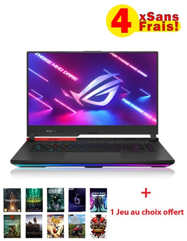 ASUS ROG Strix G15 G513 R7-4800H 8Go 512Go SSD - Gris (G513IE-HF015W)