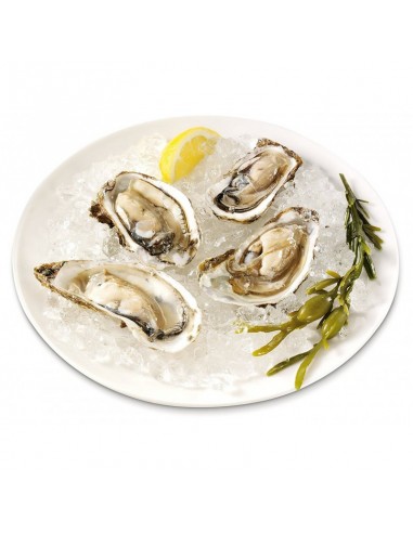 Machine à Piler la Glace Princess 55 Watt - Silver (282984)