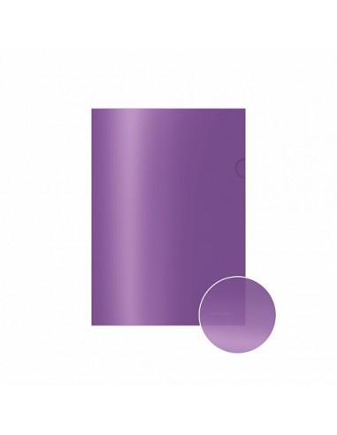 Etui transparent ErichKrause® Glossy Vivid - A4 - semi-transparent - couleurs assorties