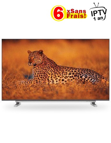 Téléviseur 65" TOSHIBA LED SMART U5965 4K (TV65U5965)