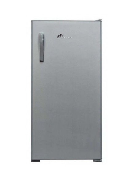 Réfrigérateur MontBlanc 230L - Silver (FX23)