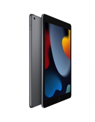 IPAD Pro APPLE 9ème Génération (2021) 10.2" 64GO WIFI - Gris (MK2K3NF-A) meilleur prix
