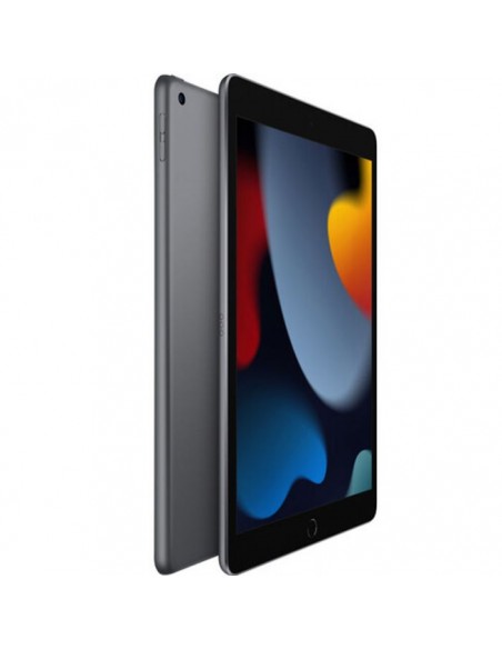 IPAD Pro APPLE 9ème Génération (2021) 10.2" 64GO WIFI - Gris (MK2K3NF-A) meilleur prix