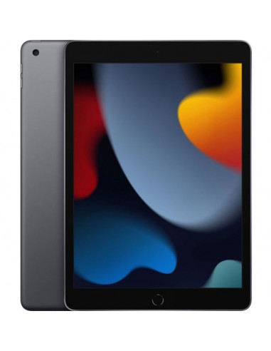 IPAD Pro APPLE 9ème Génération (2021) 10.2" 64GO WIFI - Gris (MK2K3NF-A)