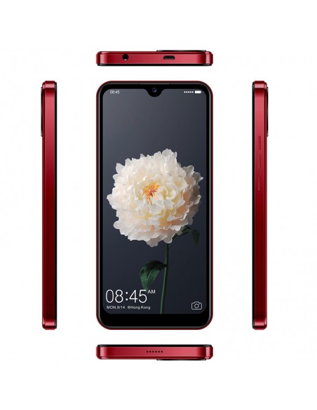 smartphone Smart M20 2Go 64Go marron smartphone Smart M20 2Go 64Go marron