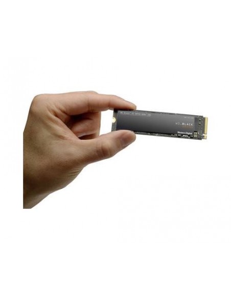 WDS100T3X0C WDS100T3X0C