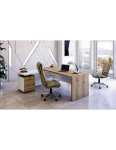 bureau de direction Dallot Tunisie