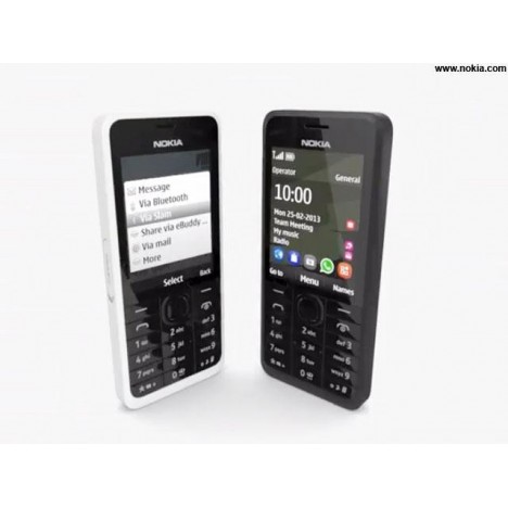 Téléphone Portable Nokia 301 / Double SIM / Noir 