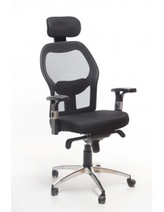 Chaise de Direction...