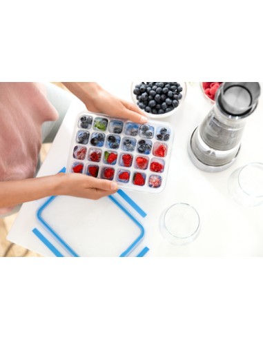 MASTERSEAL PLASTIC FOOD CONSERVATION MASTERSEAL PLASTIC FOOD CONSERVATION