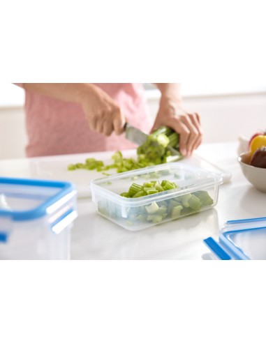 MASTERSEAL PLASTIC FOOD CONSERVATION MASTERSEAL PLASTIC FOOD CONSERVATION