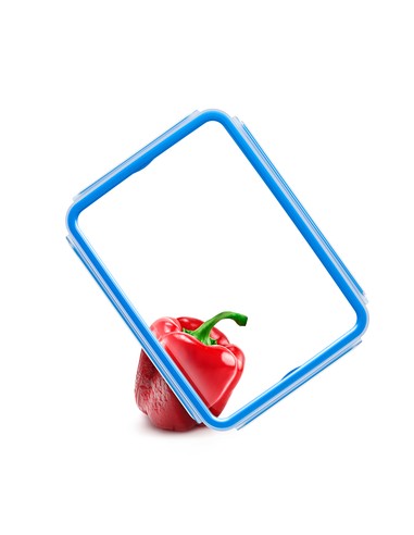 MASTERSEAL PLASTIC FOOD CONSERVATION MASTERSEAL PLASTIC FOOD CONSERVATION