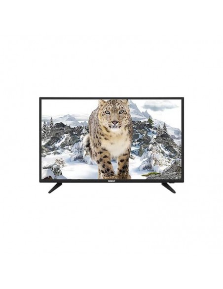 orient tv tunisie orient tv tunisie