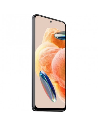 NT12P-8-256G-GR NT12P-8-256G-GR