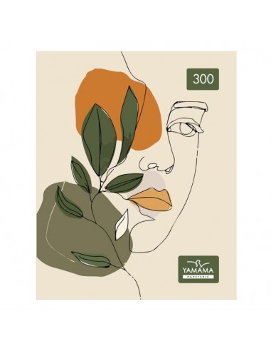 Cahier 300 BROCHURE YAMAMA SUPER 288...