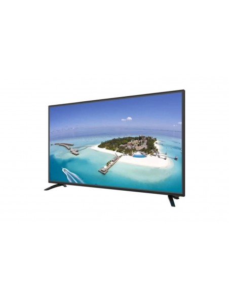 Téléviseur IRIS LED 43 E30 FHD BASIC Téléviseur IRIS LED 43 E30 FHD BASIC