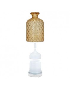 Diffuseur d'huiles Tunisie : Chez Oxtek 2