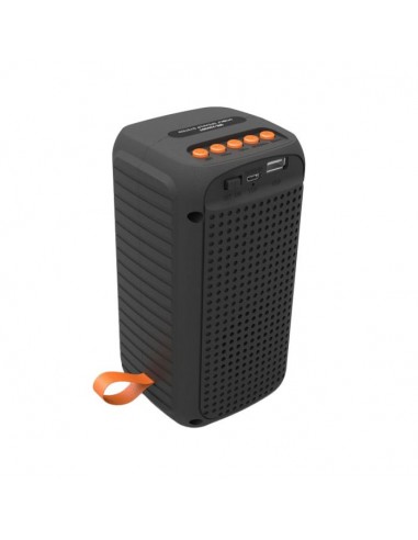 Haut parleur Sans Fil 2203 Bluetooth... Haut parleur Sans Fil 2203 Bluetooth...