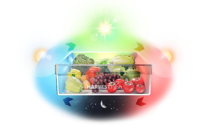 Réfrigérateur BEKO RDNE56WW 560L No Frost grande capacité