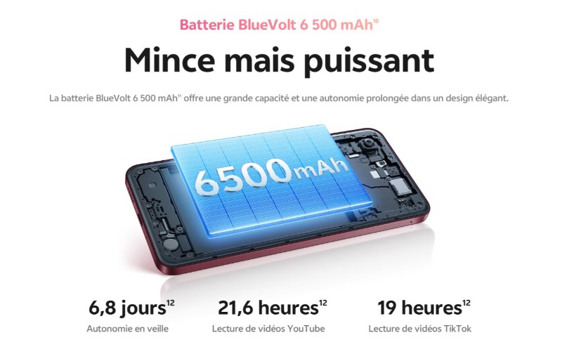 Smartphone VIVO Y21D batterie 6500 mAh et recharge rapide