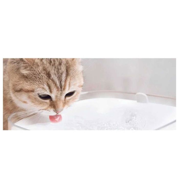 Distributeur d'eau Tunisie : Chez Oxtek