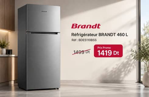 Réfrigérateur BRANDT BDE5110BSS - Brassé Frost 460 L - Silver