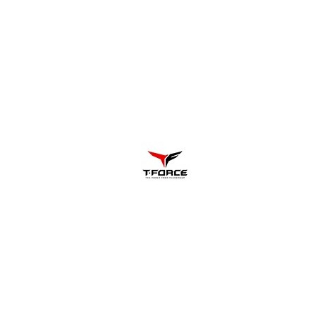 Découvrez une variété de produits de la marque T-FORCE chez Technopro a ...